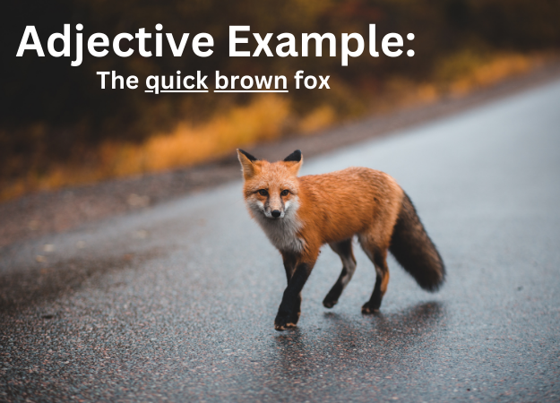 adjective-definition-and-examples